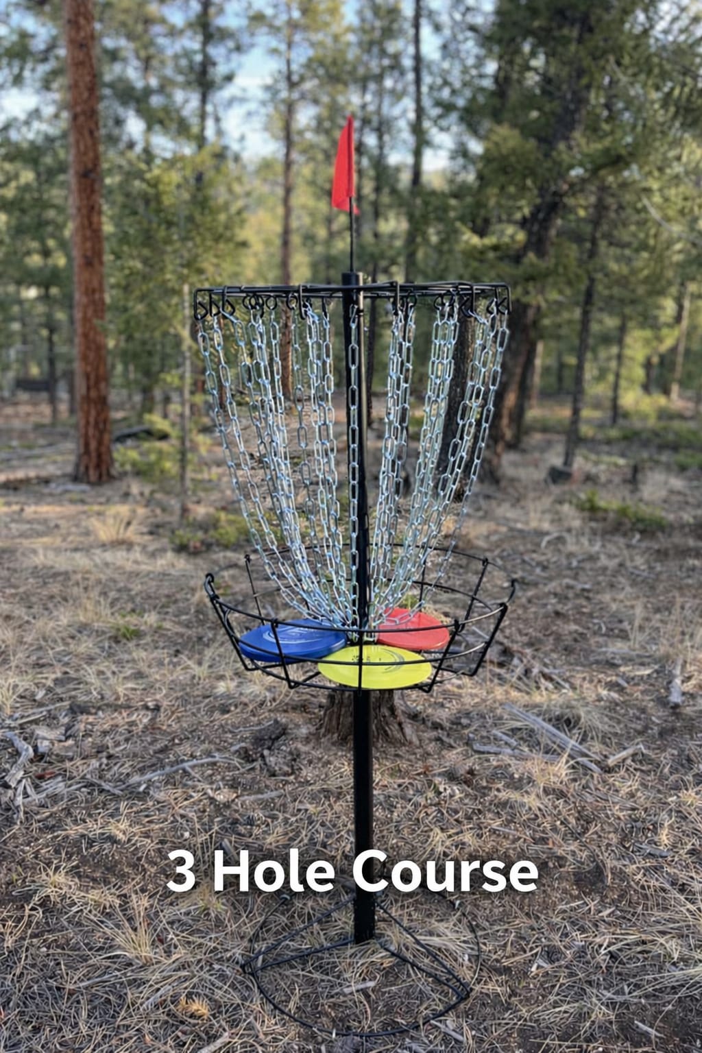 Disc golf basket with colorful discs on the private three-hole course