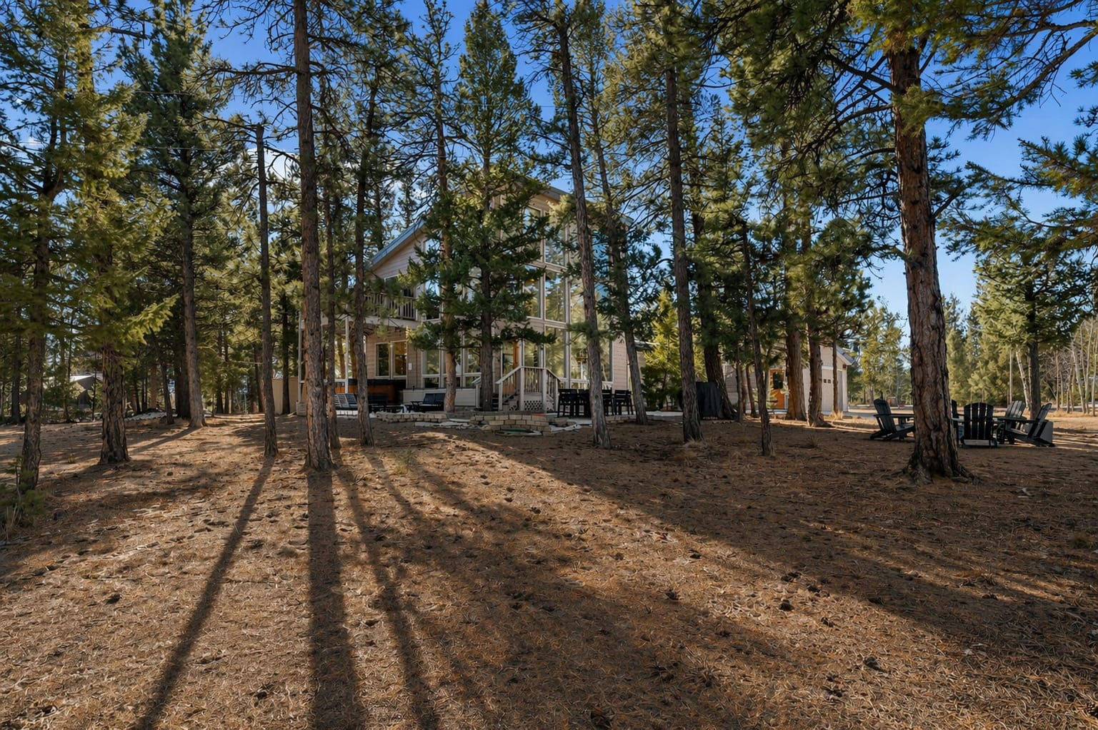 The Stillwood Retreat set back among mature pine trees and long afternoon shadows