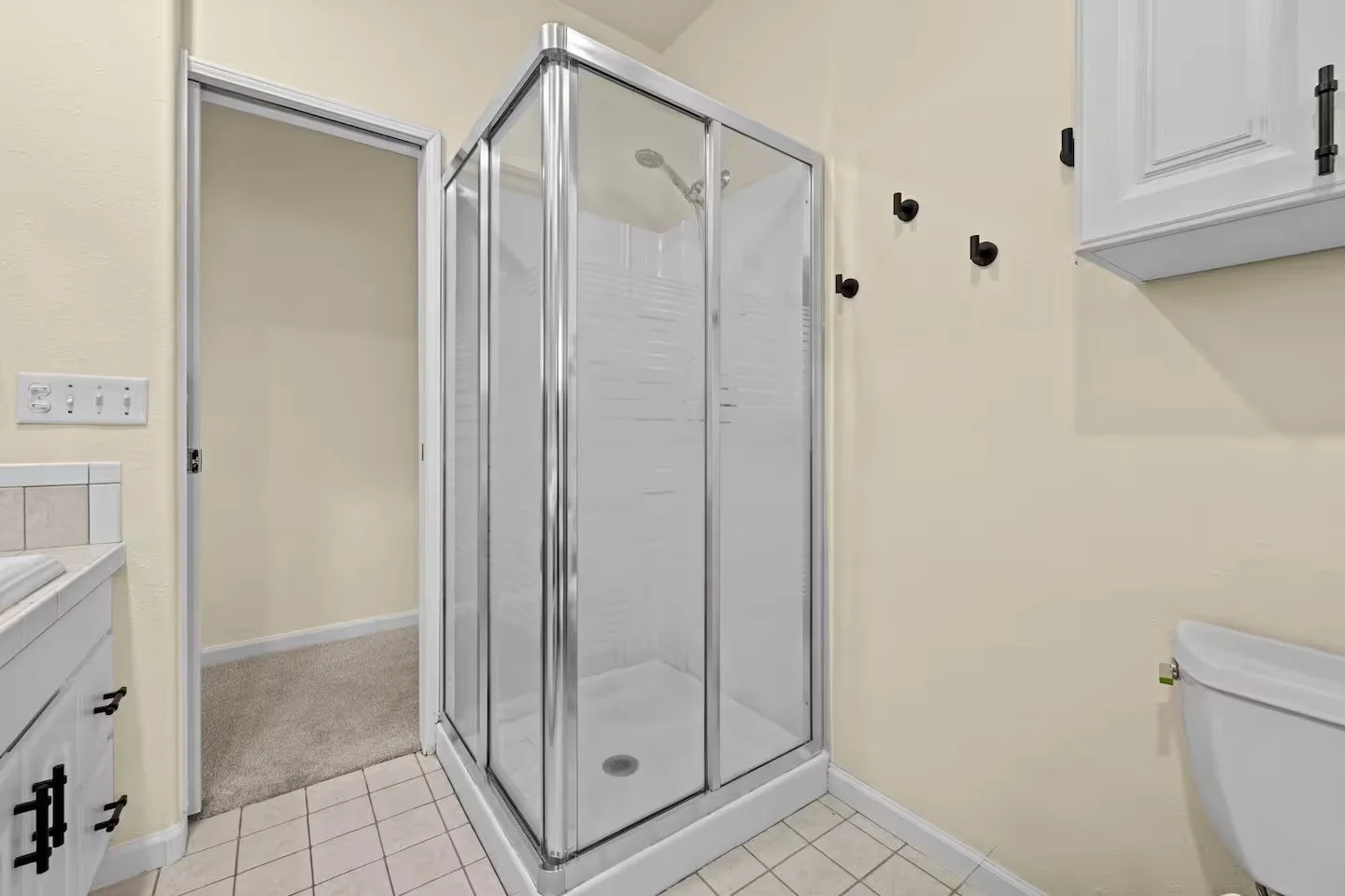 Bathroom with glass shower enclosure, white vanity and toilet