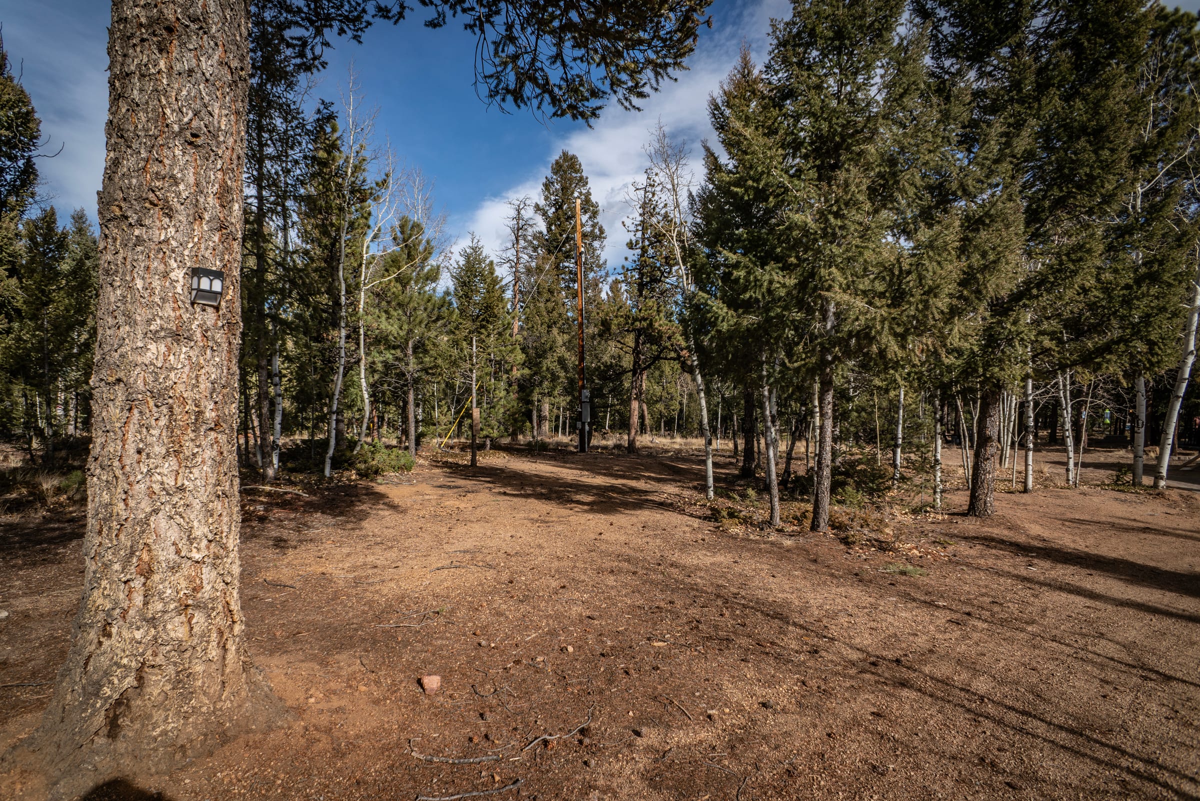 Spacious driveway and designated parking area beside the house